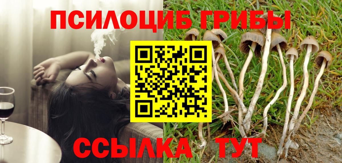 Галлюциногенные грибы мухоморы Омск